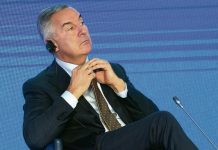 ŠEF SMATRA DA JE ZVICER PRAVI MOMAK?! ŠOK TRANSKRIPTI I FOTOGRAFIJE SA SKAJA: Prljavi policajac sa MILOM priča o vođi kavčana!