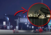 ZAŠTO SE MOST U AMERICI SRUŠIO KAO KULA OD KARATA? Ogromni teretnjak se zabio u “SRCE”, čelik se raspao u SEKUNDI