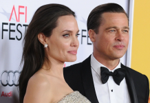 BRED PIT NA SUDU PROTIV ANĐELINE: Tajno prodala vinograd gde su se venčali, presuda neočekivana!