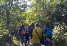 NAJVEĆA ŠUMA BEOGRADA, LEŽI NA 3 BRDA: Zelena oaza na samo 13km od centra, zaboravljeni biser idealan za izletnike