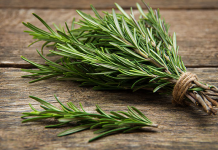 STARO RIMSKO VJEROVANJE KAŽE DA JE SVAKI DOM KOJI IMA OVU BILJKU ZAŠTIĆEN: Zle sile će ga zaobići u velikom luku