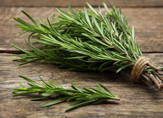 STARO RIMSKO VJEROVANJE KAŽE DA JE SVAKI DOM KOJI IMA OVU BILJKU ZAŠTIĆEN: Zle sile će ga zaobići u velikom luku