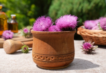 Zvanično je proljeće: Jetra u ovom periodu neumorno radi, zaštitite je jednim prirodnim sastojkom