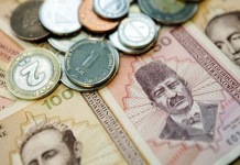 Dijaspora prošle godine poslala 3,79 milijardi KM, što je za 203 miliona više u odnosu na 2022.