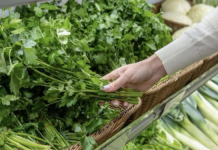 NOVI TRIK ZA DOMAĆICE: Ovako čuvate peršun da ostane svjež i do dvije sedmice!