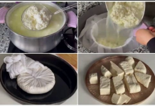 Zdrav SIR bez odjeka i hemikalija: Imam 1 kg odličnog sira od 2 litre mlijeka – voli ga cijela porodica!