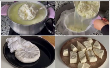 Zdrav SIR bez odjeka i hemikalija: Imam 1 kg odličnog sira od 2 litre mlijeka – voli ga cijela porodica!