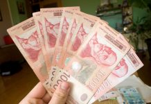 GAZDA PAJA DAJE PLATU OD 160.000 DINARA I NIKO NEĆE DA RADI! Besplatan obrok, slobodan vikend, sve po dogovoru I OPET NIŠTA!