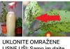 UKLONITE OMRAŽENE LISNE UŠI: Samo im dajte ovo jeftino čudo i vaše su biljke spašene!