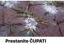 Prestanite ČUPATI korov rukama, nema razloga za to: Moram podijeliti ovaj kućni trik!