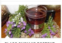 BLAGO ONOM KO POSEGNE ZA NJIM: Otapa sve vrste kamenca, čisti krv, liječi reumu, artritis i giht…