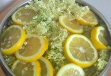 SOKOM OD ZOVE PROTIV OPAKIH BOLESTI: Pravi se lako, ne košta ništa…