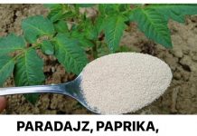 PARADAJZ, PAPRIKA, KRASTAVCI: Dajte im ovu Hranu ODMAH i proizvodit će kao divlje životinje!