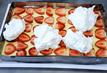 TORTA SA JAGODAMA POPUT SLADOLEDA ne pece se, a vrlo brzo se napravi…