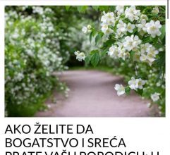 AKO ŽELITE DA BOGATSTVO I SREĆA PRATE VAŠU PORODICU: U baštu ili u saksiju ovog ljeta OBAVEZNO posadite ovu vrstu cvijeća