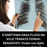 445075042_868377735330301_1968073959378567190_n-1068×1335