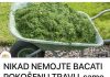 Zlata je vrijedan- Molimo vas da ne bacate pokošenu travu! Evo za što ga možete koristiti
