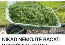 Zlata je vrijedan- Molimo vas da ne bacate pokošenu travu! Evo za što ga možete koristiti