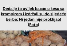 Deda je to uvijek bacao u kesu sa krompirom i izdržali su do sljedeće berbe: Ni jedan nije proklijao! (Foto)