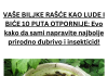 VAŠE BILJKE RAŠĆE KAO LUDE I BIĆE 10 PUTA OTPORNIJE: Evo kako da sami napravite najbolje prirodno đubrivo i insekticid!