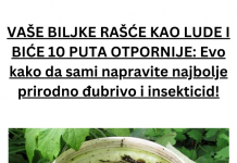 VAŠE BILJKE RAŠĆE KAO LUDE I BIĆE 10 PUTA OTPORNIJE: Evo kako da sami napravite najbolje prirodno đubrivo i insekticid!