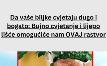 Da vaše biljke cvjetaju dugo i bogato: Bujno cvjetanje i lijepo lišće omogućiće nam OVAJ rastvor