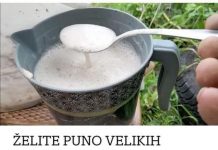 Želite puno divovskih paprika, rajčica i krastavaca? Svaku biljku jednom mjesečno nahranite ovim čudom i to je to!