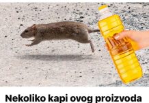 Slijedeći ovaj postupak, možete učinkovito i trajno otjerati miševe iz svoje kuće sa samo nekoliko kapi ovog proizvoda.