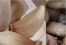 OTROV IZ PLUĆA NESTAJE U ROKU OD 72 SATA: Preporučuje se pušačima da ga konzumiraju barem 14 dana…