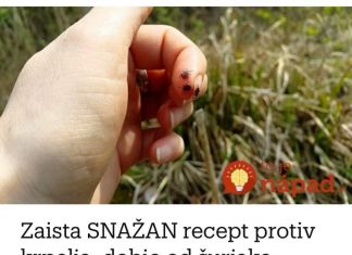 Zaista moćan recept za krpelja, preuzet od kolege penjača: Probao i nijedan me nije ganuo cijelu sezonu!