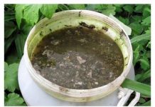 Vaše biljke će rasti kao lude i postati 10 puta jače: Evo kako sami napraviti najbolja prirodna gnojiva i pesticide!