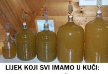 LIJEK KOJI SVI IMAMO U KUĆI: Protiv upale grla i žgaravice, uklanja bradavice te reguliše nivo šećera u krvi