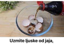 Godinama koristim i toplo preporučujem ovaj jednostavan domaći trik koji uključuje ljuske od jaja i običnu Colu – trik koji pozivam sve da isprobaju.