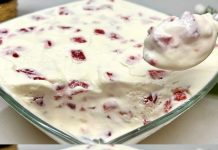 Prepustite se divnom iskustvu domaćeg sladoleda napravljenog od samo tri sastojka, potpuno bez želatine.