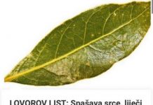 LOVOROV LIST: Spašava srce, liječi urinarne infekcije, smiruje psihu… OVO SU NAČINI KAKO DA GA ISKORISTITE!