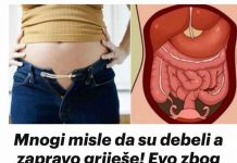 Mnogi misle da su debeli a zapravo griješe! Evo zbog čega vam je stomak velik i KAKO SE RIJEŠITI TOGA…