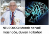 NEUROLOG: Mozak ne voli masnoće, duvan i alkohol. Ali on voli OVO i svi bi trebali znati za to!