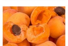 Nisu B0lesni I Ne Znaju Za RAK! Žive Dobro Preko 100 Godina, A Žene Rađaju I Sa 65 Godina!