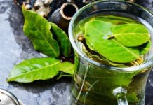 Evo šta se sve dešava u organizmu kada koristimo lovorov list: Iznenadiće vas koliko bi mogao da vam pomogne