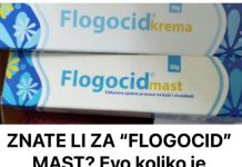 ZNATE LI ZA “FLOGOCID” MAST? Evo koliko je kvalitetna i koje su njene primene…