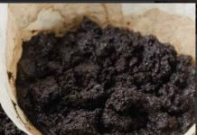 NEVJEROJATNA VRIJEDNOST TALOGA KAVE: OTKRIVANJE DVIJE ZAPANJUJUĆE KORIŠTENJA!