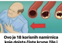 Konzumacija ovih 18 korisnih namirnica ne samo da čisti krvne žile, već pruža i zaštitu od srčanog udara, što u konačnici dovodi do duljeg životnog vijeka.