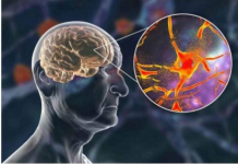 NAJBOLJA STVAR PROTIV DEMENCIJE: Jedite je jednom sedmično da sačuvate pamćenje!