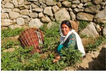 OVI LJUDI ŽIVE PREKO 120 GODINA: Ovaj narod je najzdraviji i jede ovu namirnicu svaki dan tokom ljeta!