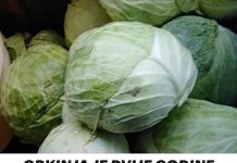 Grkinja konzumirala kiseli kupus svakodnevno dve godine: Iznenadila se rezultatima krvnih testova nakon toga