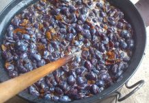 SVEKRVIN PEKMEZ OD ŠLJIVA…Recept za svaku pohvalu…