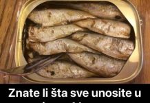 Znate li šta sve unosite u organizam 1 konzervom sardine? EVO ZAŠTO BI TREBALO DA IH JEDETE ČEŠĆE