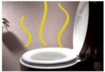 OSJETITE LI JAK MIRIS URINA KAD USTANETE SA WC ŠOLJE: Evo od čega bolujete