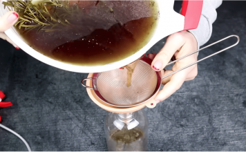 Kosa raste kao luda i PRESTAJE da opada: ŽIVA VODA za kosu, efekat će vas oduševiti!