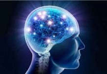 NEUROLOG: Mozak ne voli masnoće, duvan i alkohol. Ali on voli OVO i svi bi trebali znati za to!